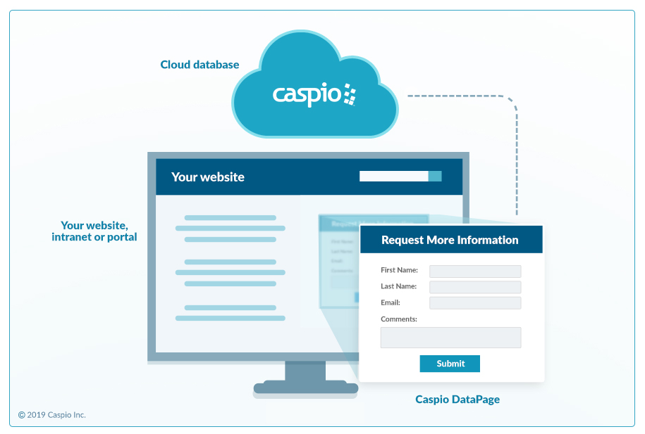 Caspio-What-is-a-DataPage-Explained-Low-Code-Platform