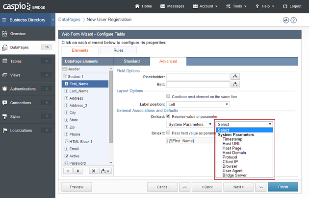 Caspio-system-parameters-product-border-final