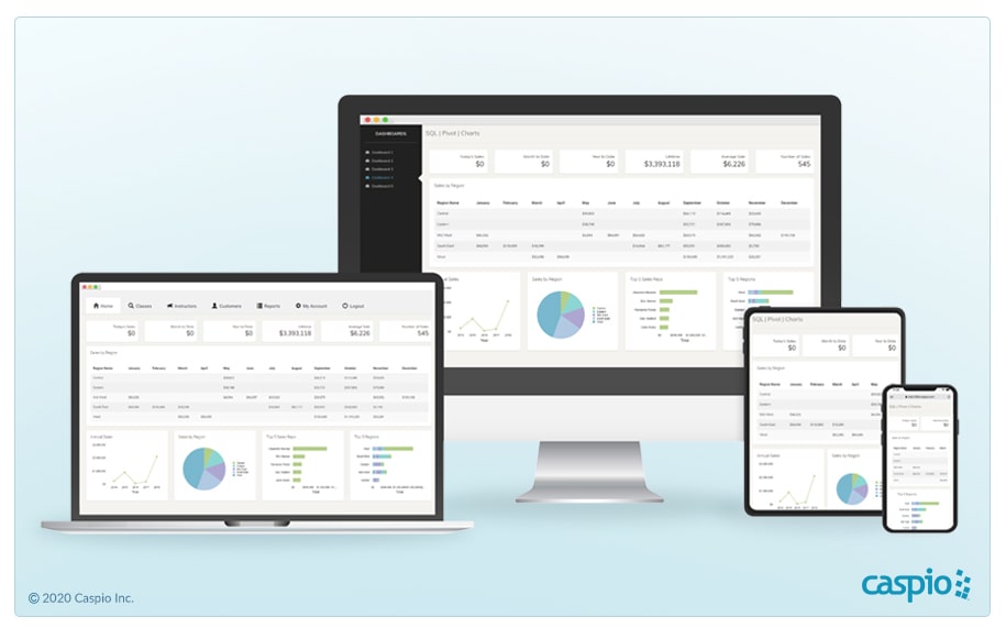 fully responsive Caspio web dashboards for all devices