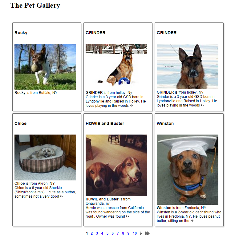 Pet Gallery