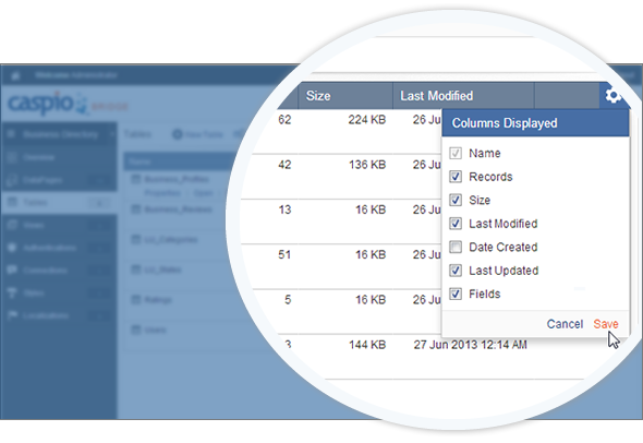 Caspio 8.0 Beta Column Selection